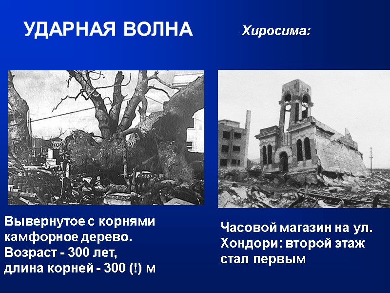 УДАРНАЯ ВОЛНА Часовой магазин на ул. Хондори: второй этаж стал первым Вывернутое с корнями